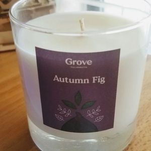 Grove collaborative Autumn Fig Soy candle